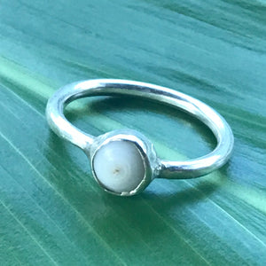 PUKA SHELL RING